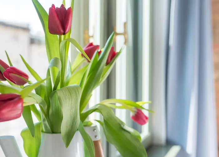 דירה Provenir Strzelecka 25 פוזנן